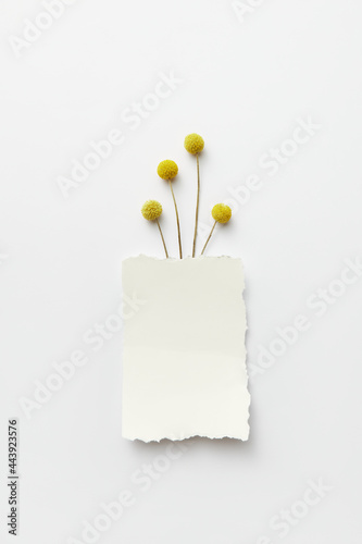 White piece of paper with yellow flowers