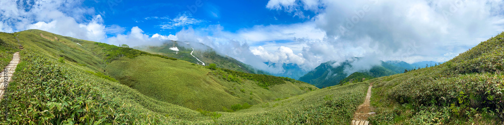 初夏の平標山の登山道 初夏の平標山の登山道