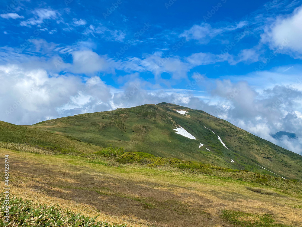 Fototapeta premium 初夏の平標山の登山道