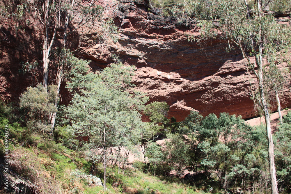 Rock face near Paradise Falls in north-east Victoria, Australia. Rock face near Paradise Falls in north-east Victoria, Australia.