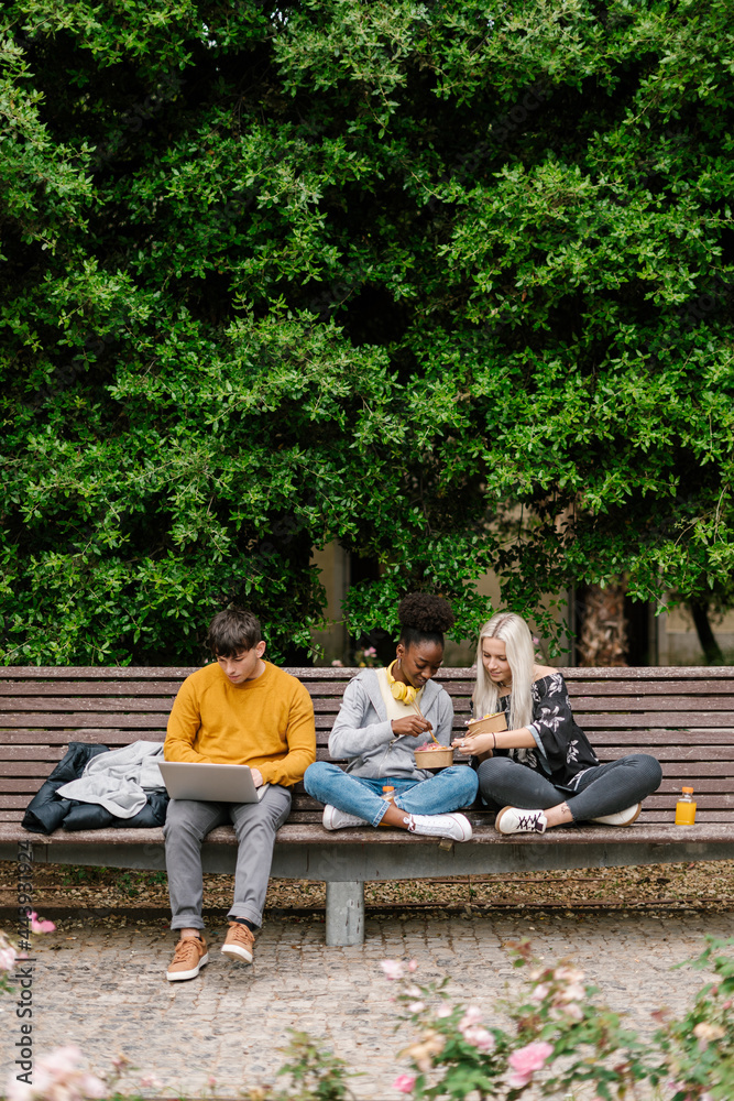 Diverse friends eating lunch in park