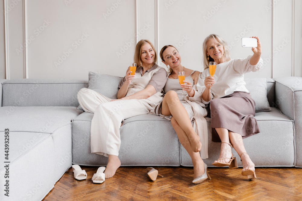 Company of women taking selfie on smartphone at home Company of women taking selfie on smartphone at home