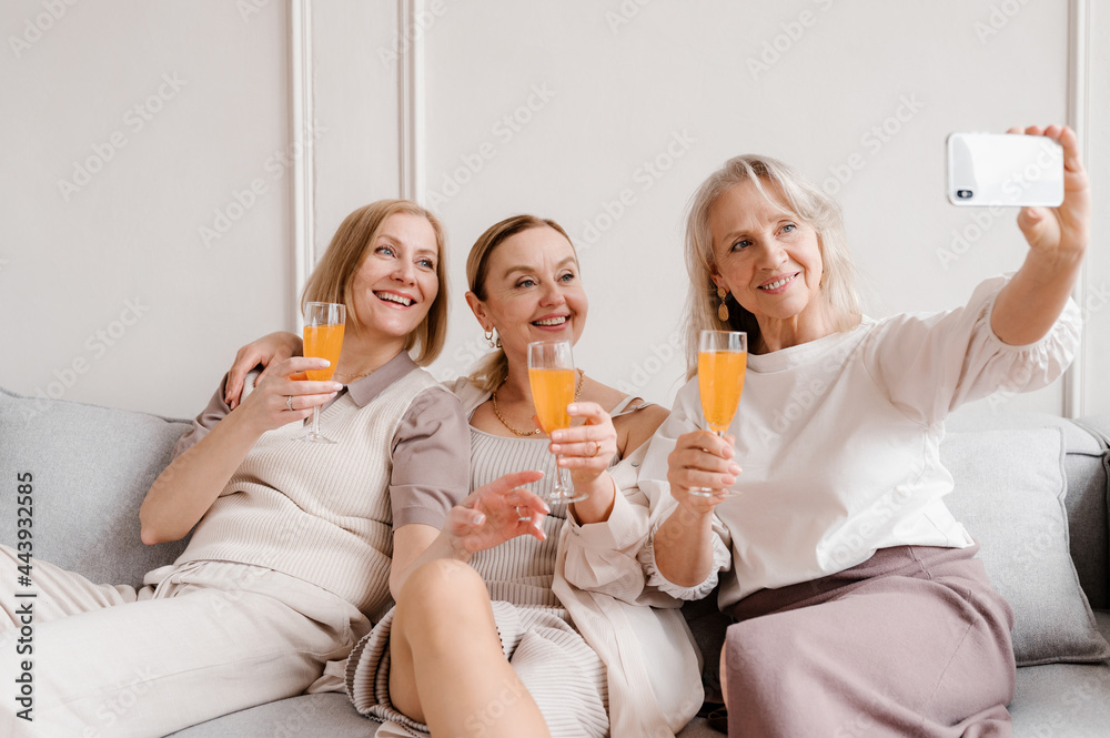 Company of women taking selfie on smartphone at home Company of women taking selfie on smartphone at home