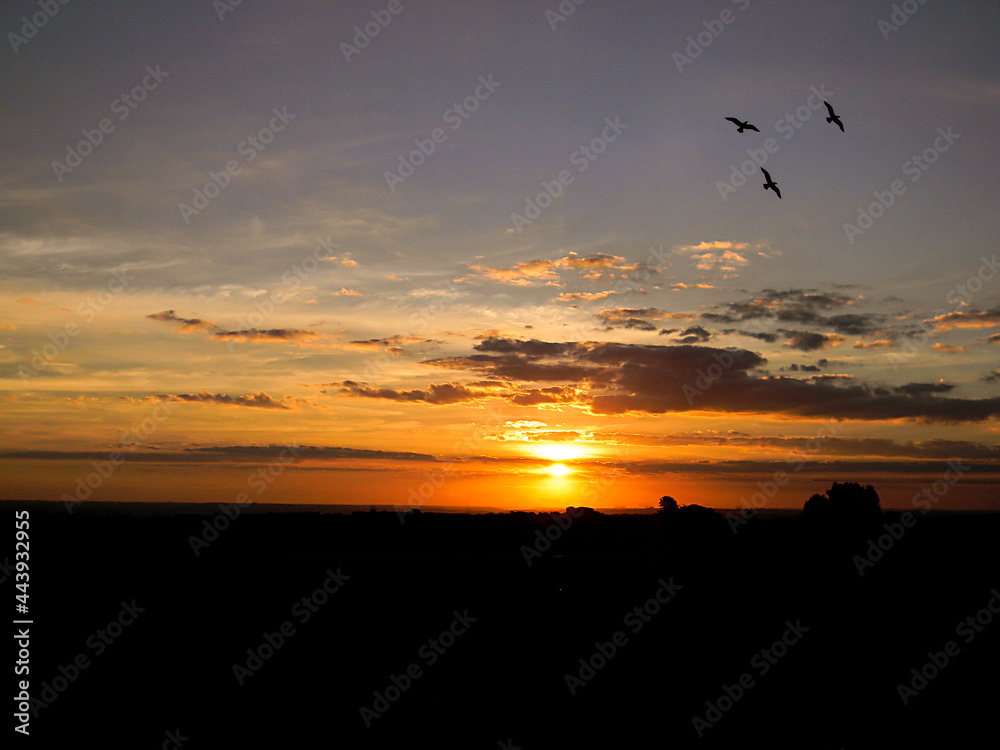 sunset at the sea