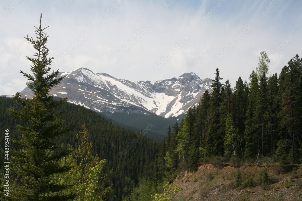 Rockey Mountain valley