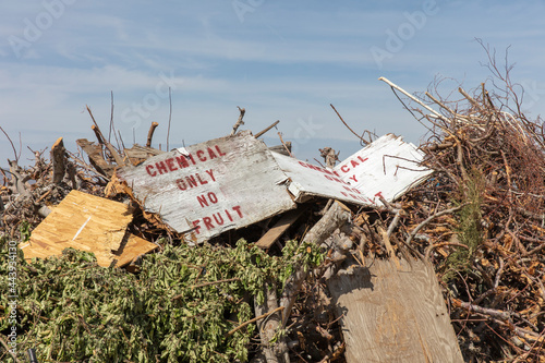 Tree branches and garbage at rural landfill