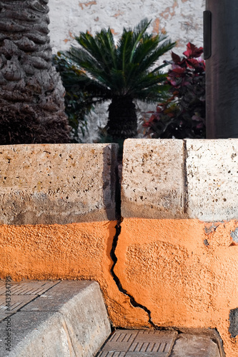 A crack in the wall that looks like a root of a palm tree. photo