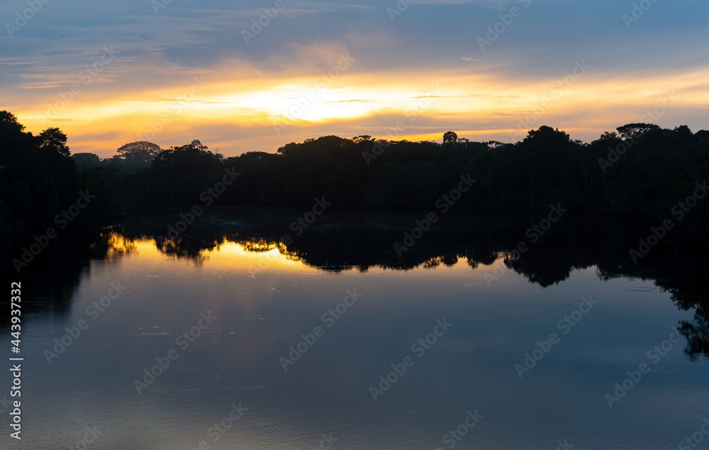 Amazon rainforest sunrise, Garzacocha lagoon, Yasuni national park, Ecuador.
