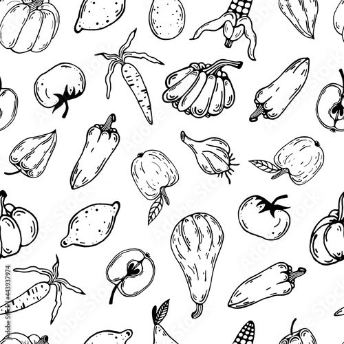 Vegetables and fruits seamless vector pattern. Hand drawn doodle on a white background. Contour of carrots, bell peppers, pumpkin, apple, corn, tomato, lemon. Crop outlining. Food sketch. Monochrome.