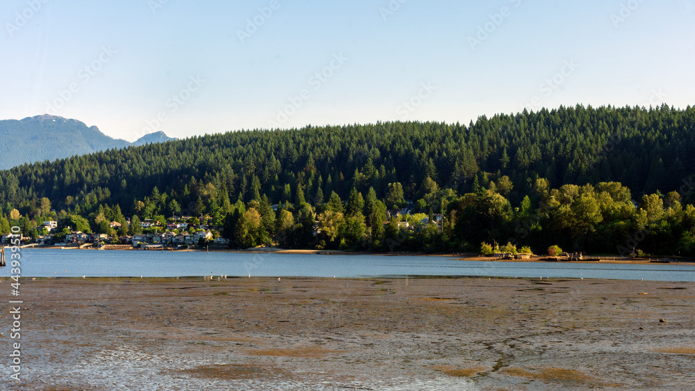 Burrard Inlet at Port Moody, BC, during low tide with view across mud flats to residences of Pleasantville