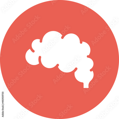 Brain Icon