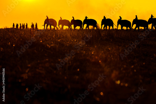 Silhouette, lifestyle of people and elephants, mahouts. The love and bond of people and elephants Thai elephants in Thailand.