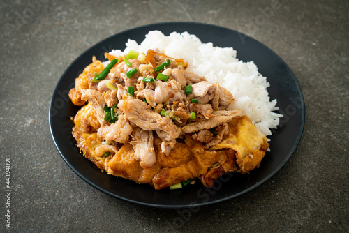 stir-fried pork with garlic and egg topped on rice