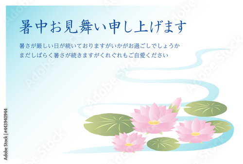 暑中見舞いのはがき　睡蓮の花