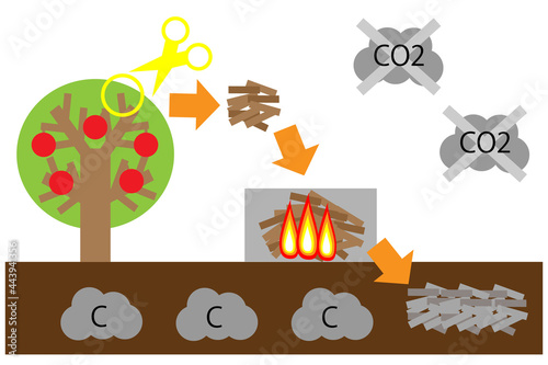 剪定した木を炭にして地中に埋めているイメージ