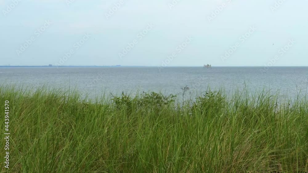 A view of the A view of the