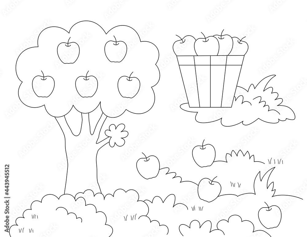 apple tree and a bushel full of fruit, easy coloring page. big shapes for  little kids. you can print it on standard 8.5x11 inch paper Stock  Illustration