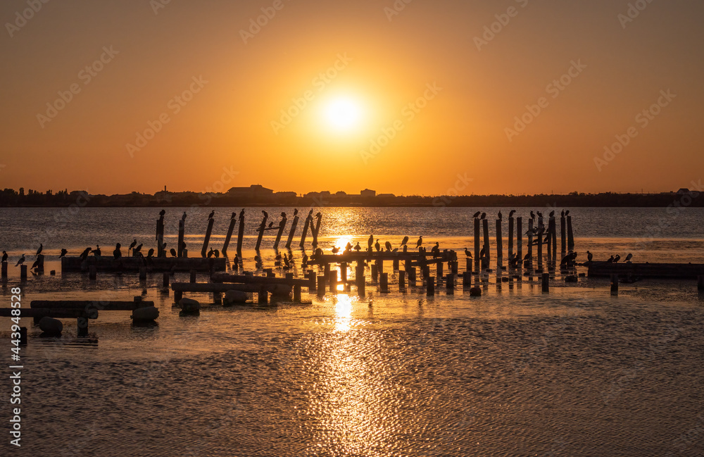 Beautiful red and orange sunset over the sea. The sun goes down over the sea. A flock of cormorants sits on a old sea pier in orange sunset light