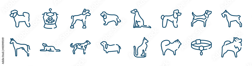 dog breeds fullbody icons set such as pet clothing, english cocker spaniel, beagle, pharaoh hound, dalmatian, pet collar outline vector signs. symbol, logo illustration. linear style icons set. dog breeds fullbody icons set such as pet clothing, english cocker spaniel, beagle, pharaoh hound, dalmatian, pet collar outline vector signs. symbol, logo illustration. linear style icons set.