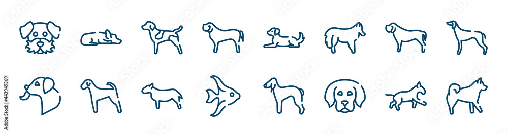 dog breeds fullbody icons set such as sad dog, english mastiff, mastiff, dog licking, bullterrier, bulterrier outline vector signs. symbol, logo illustration. linear style icons set. pixel perfect