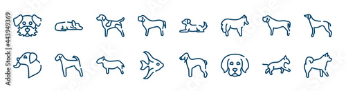 dog breeds fullbody icons set such as sad dog, english mastiff, mastiff, dog licking, bullterrier, bulterrier outline vector signs. symbol, logo illustration. linear style icons set. pixel perfect