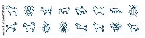 dog breeds fullbody icons set such as null, dog smelling dog, snowshoe cat, kurzhaar, madagascan, null outline vector signs. symbol, logo illustration. linear style icons set. pixel perfect vector