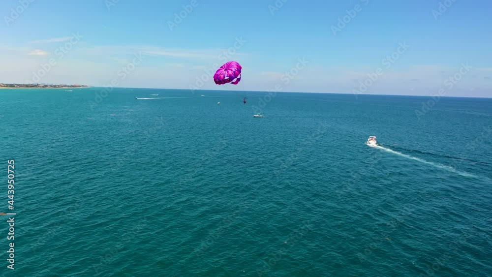 Purple Parasailing in the Atlantic Ocean in South Florida Purple Parasailing in the Atlantic Ocean in South Florida