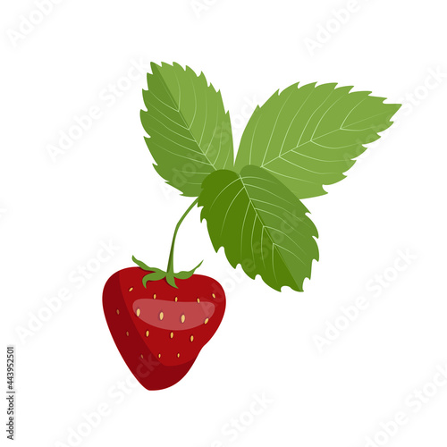 One berry of ripe red strawberries with green leaves, isolated on a white background. Vector cartoon illustration