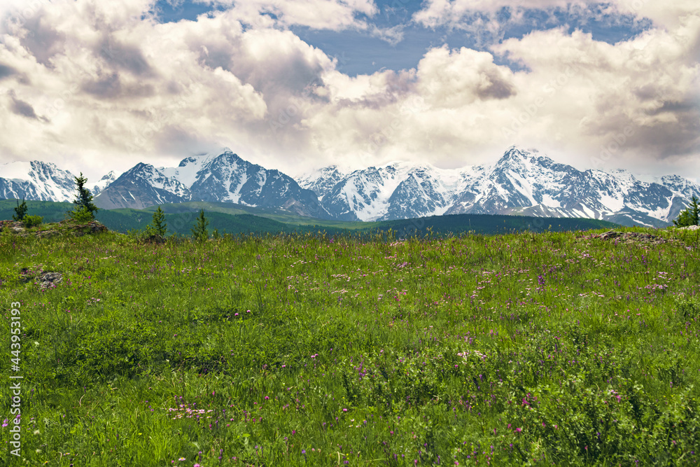 Fototapeta premium Mountain landscape and meadow.