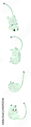回転するユキヒョウ_Rotating snow leopard (ID: 443953546)