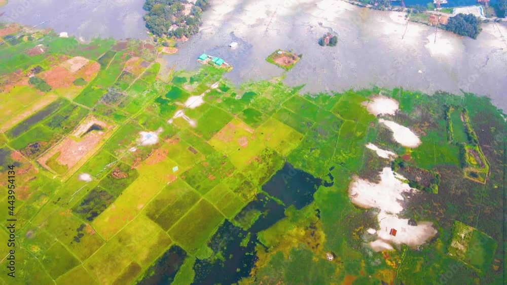 Aerial: Bangladesh agricultural land, flooded farm crops