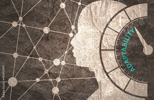 Concept of human adaptability , development of personal qualities