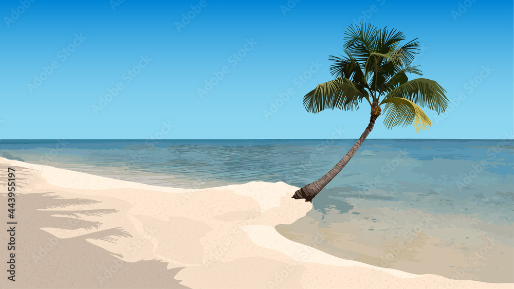Summer Sandy Beach with Palm and Sea Horizon in the Background - Detailed Colored Illustration for Your Background or Banner, Vector