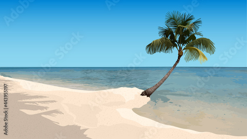 Fototapeta Naklejka Na Ścianę i Meble -  Summer Sandy Beach with Palm and Sea Horizon in the Background - Detailed Colored Illustration for Your Background or Banner, Vector