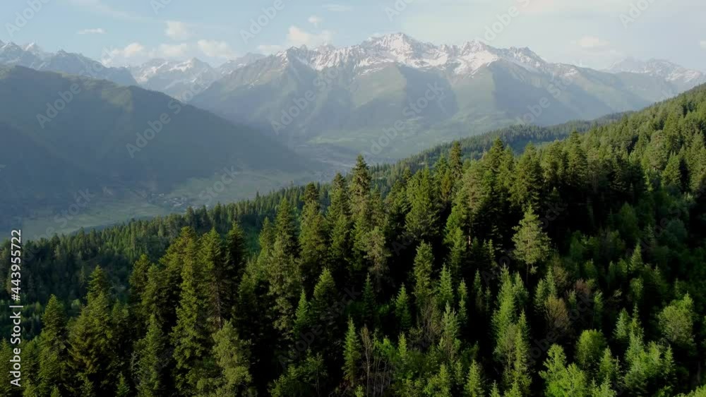 Mountain and forest aerial view Mountain and forest aerial view