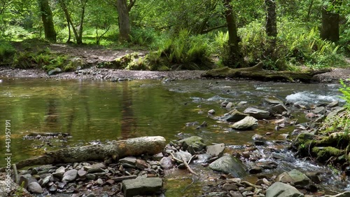 4K view of some cristal clear water flowing down the Horner river and dividing in two smaller streams in the Horner woods in the middle of the national park of exmoor, 30ffs. photo