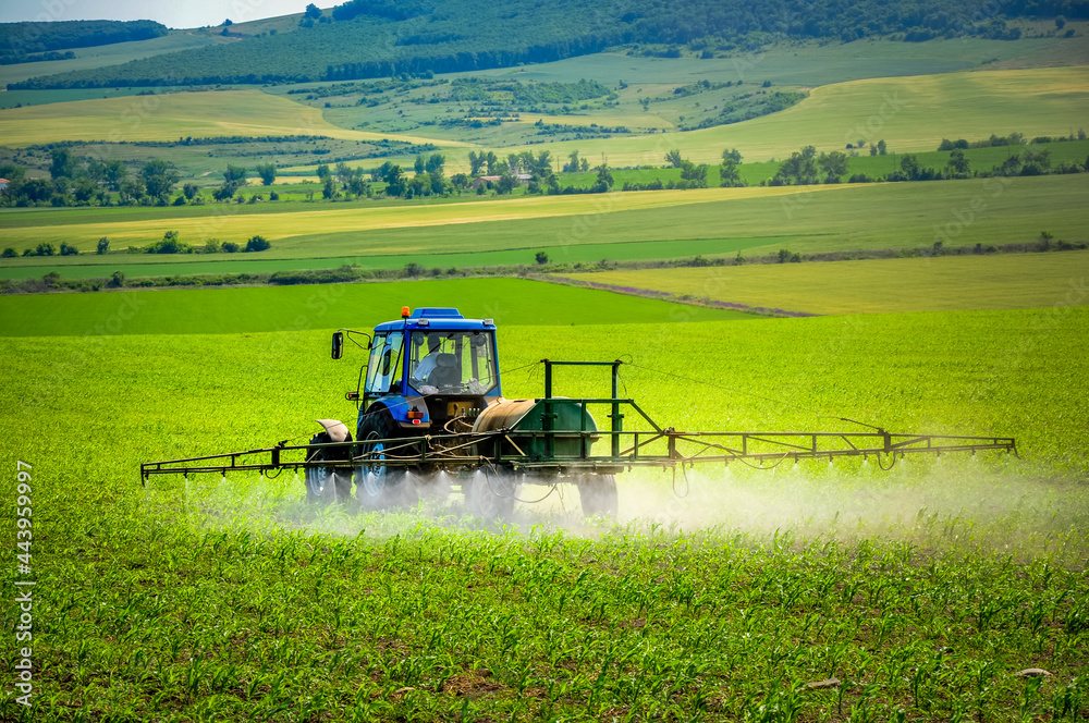 Fototapeta premium Farming tractor plowing and spraying on field