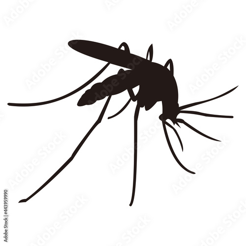 mosquito icon vector illustration sign