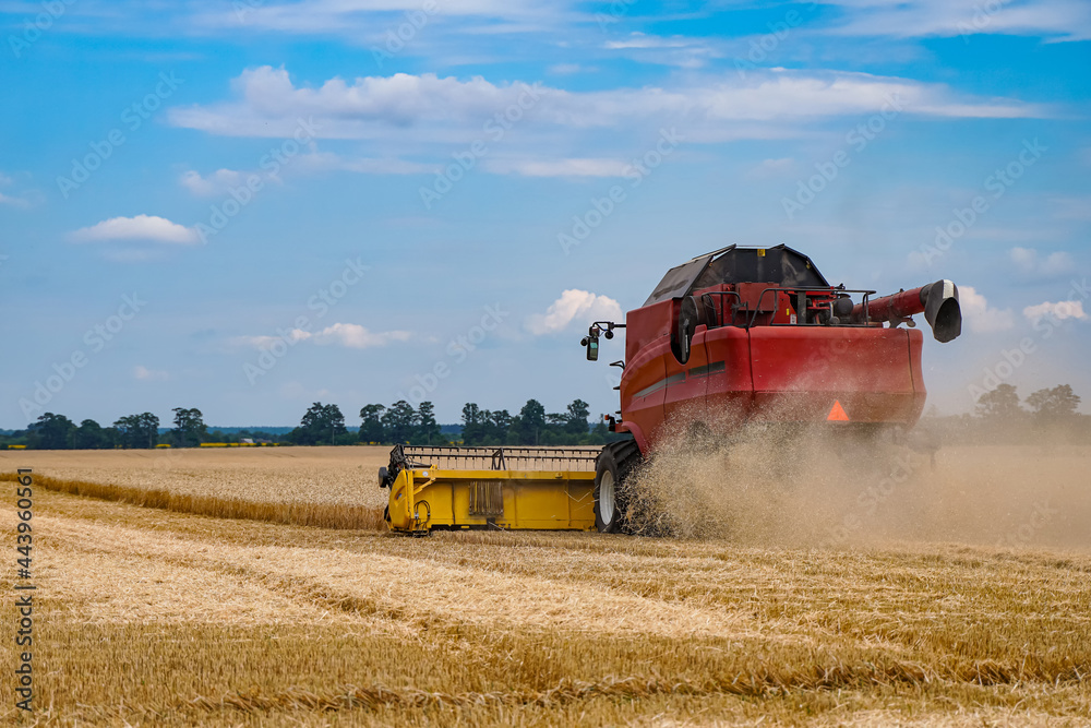 Fototapeta premium Big agricultural farming equipment. Huge red combine working in the field.