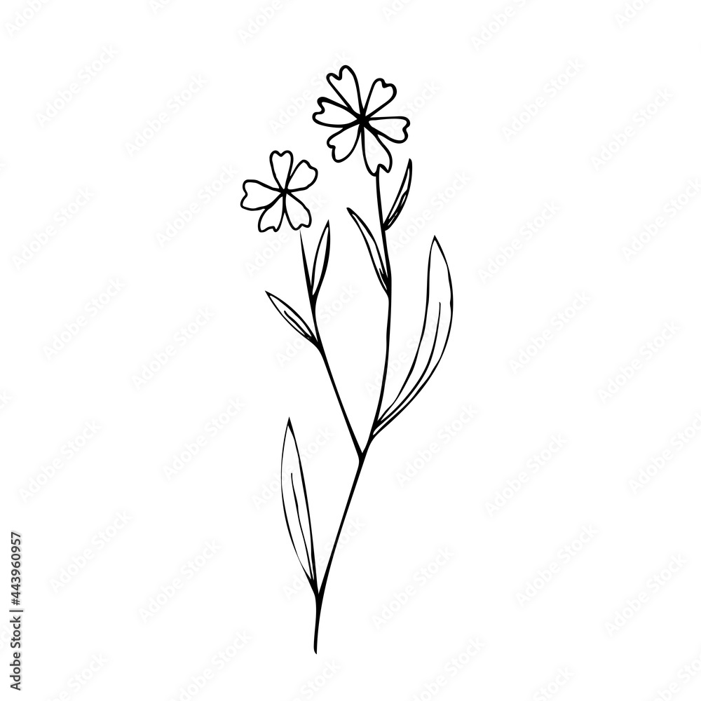 Botanical linear leaf set. Abstract minimalist leaves collection