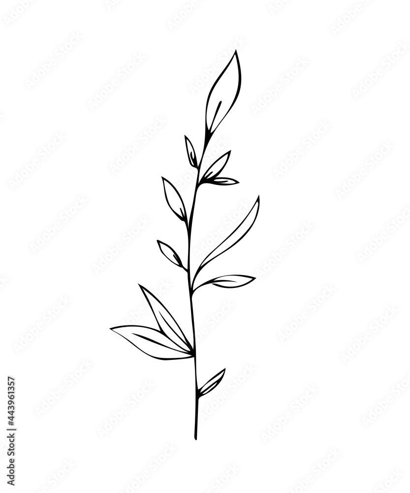 Hand drawn herbs. Minimal floral monograms. Blooming plants and branches with leaves. Row of contour flowers. Black and white decorative elements template. Vector foliage sketch illustration.