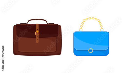 Female Handbags Made of Artificial Leather Isolated on White Background Vector Set