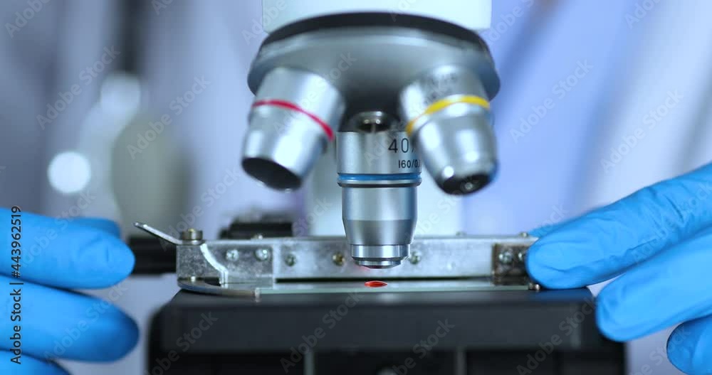 Close-up front view of scientist researcher or doctor using a microscope in a medical research lab Close-up front view of scientist researcher or doctor using a microscope in a medical research lab