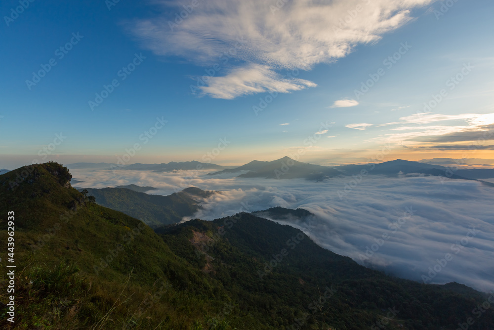 Panorama view sea of fog on the mountain at dawn in the north of Thailand 