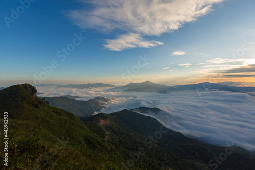 Fototapeta Naklejka Na Ścianę i Meble -  Panorama view sea of fog on the mountain at dawn in the north of Thailand 