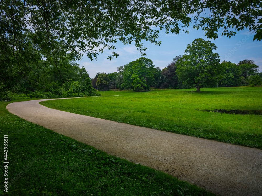 Curved Footpath in the Woods and Pasture. Nature Trail Trip Image with Space for Text.