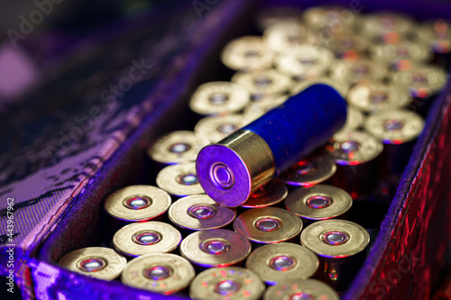 Foto Set of cartridges for a hunting shotgun