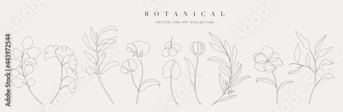  Botanical arts. Hand drawn continuous line drawing of abstract flower, floral, ginkgo, rose, tulip, bouquet of olives. Vector illustration.