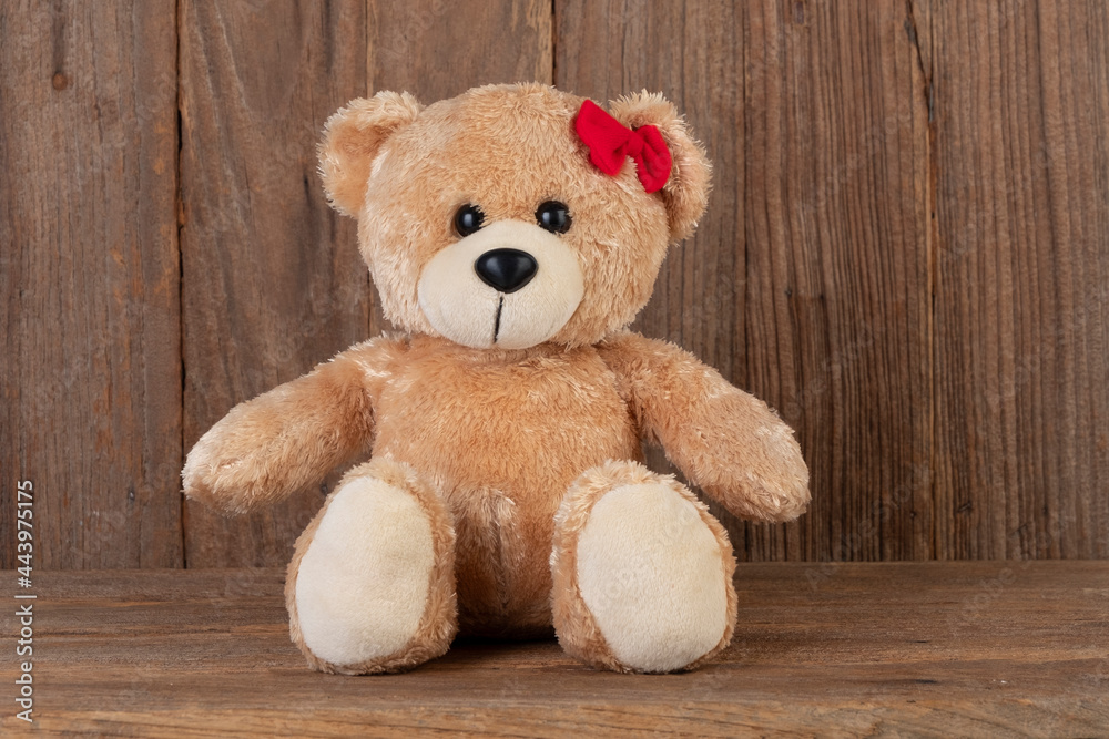 Teddy bear on wooden for your presentation product and decoration. Teddy bear on wooden for your presentation product and decoration.