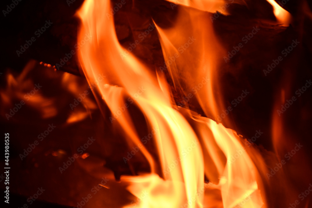 Fototapeta premium The fire. Bright orange flames. A black red-hot log is visible between the flames. Dark background